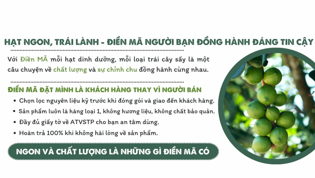 Top 5 Địa Chỉ Mua Củ Hủ Dừa Sấy Khô Chất Lượng ở HCM 3 Nông Sản Điền Mã